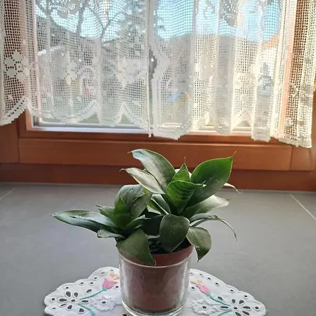 400 éves Ház Apartman